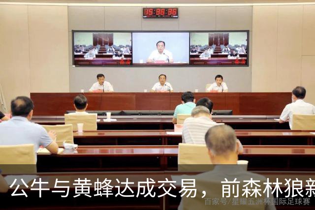 公牛与黄蜂达成交易，前森林狼新秀或在黄蜂崭露头角